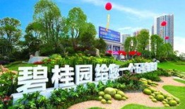 碧桂园爆料最新消息洪雅