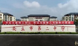 安丘最新爆料新闻视频大全,视频大全揭示热点事件全貌