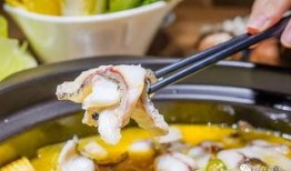 落汤鱼最新爆料,揭秘娱乐圈幕后真相