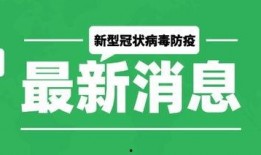 最新爆料模板大全,全方位解析热门事件传播策略